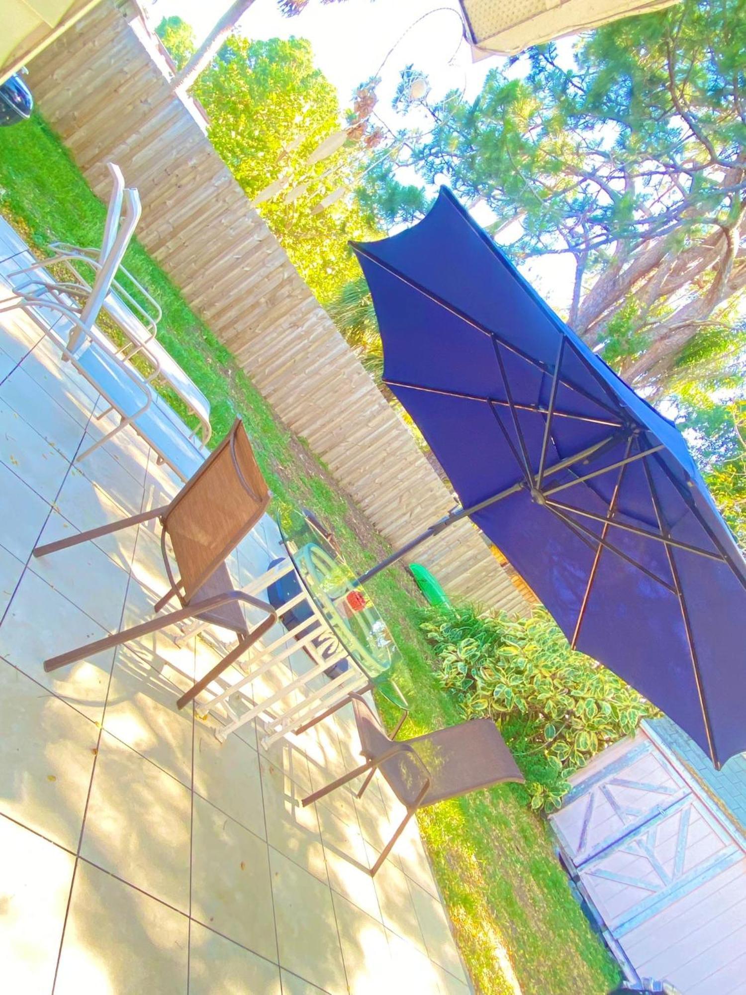 Cozy Studio Only 10 Minutes By Car Of Siesta Key Sarasota Dış mekan fotoğraf